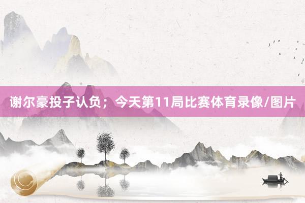 谢尔豪投子认负；今天第11局比赛体育录像/图片