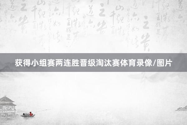 获得小组赛两连胜晋级淘汰赛体育录像/图片