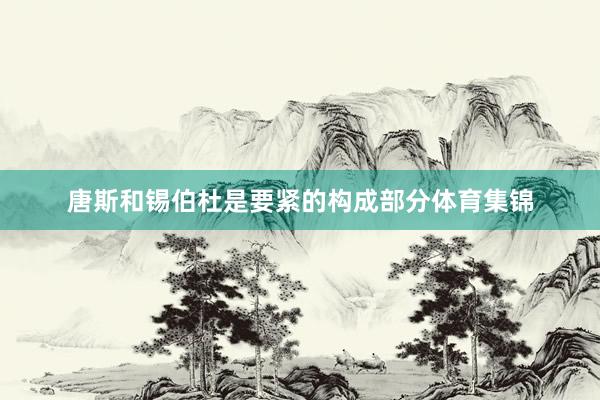 唐斯和锡伯杜是要紧的构成部分体育集锦