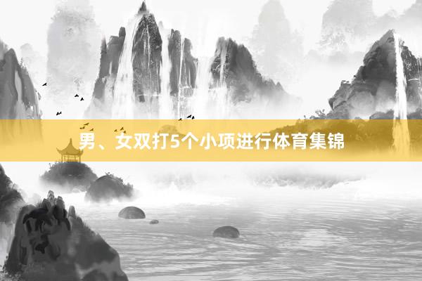 男、女双打5个小项进行体育集锦