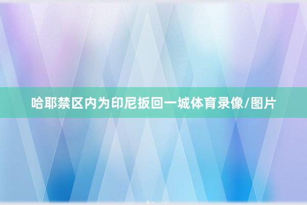 哈耶禁区内为印尼扳回一城体育录像/图片