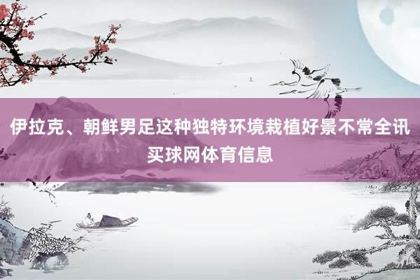 伊拉克、朝鲜男足这种独特环境栽植好景不常全讯买球网体育信息