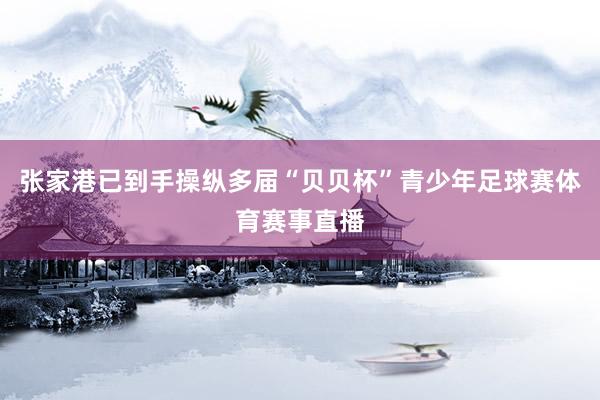 张家港已到手操纵多届“贝贝杯”青少年足球赛体育赛事直播