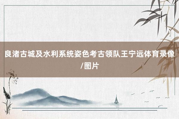 良渚古城及水利系统姿色考古领队王宁远体育录像/图片