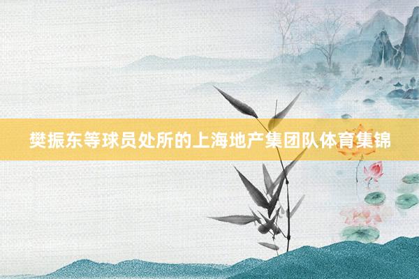 樊振东等球员处所的上海地产集团队体育集锦