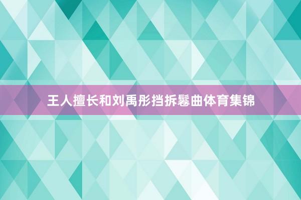 王人擅长和刘禹彤挡拆鬈曲体育集锦