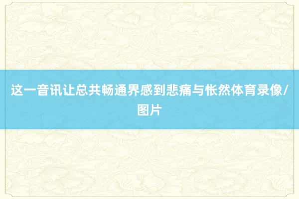 这一音讯让总共畅通界感到悲痛与怅然体育录像/图片