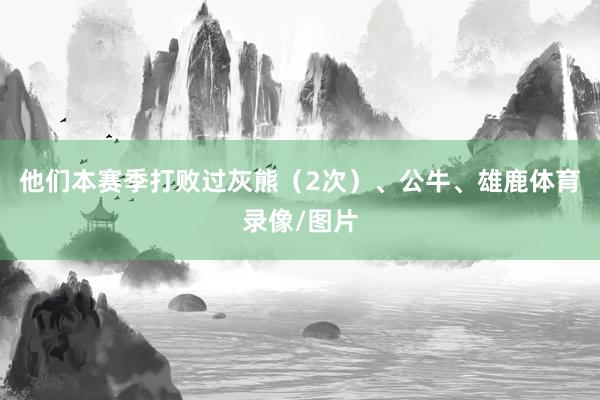 他们本赛季打败过灰熊（2次）、公牛、雄鹿体育录像/图片