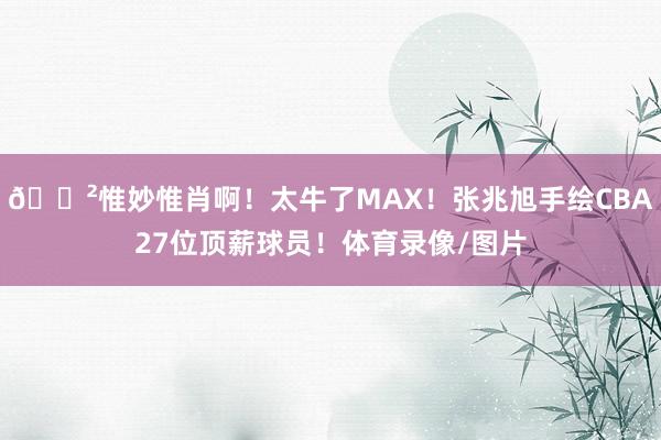 😲惟妙惟肖啊！太牛了MAX！张兆旭手绘CBA27位顶薪球员！体育录像/图片