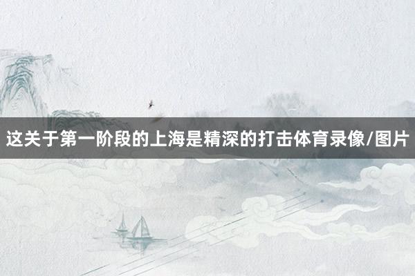 这关于第一阶段的上海是精深的打击体育录像/图片