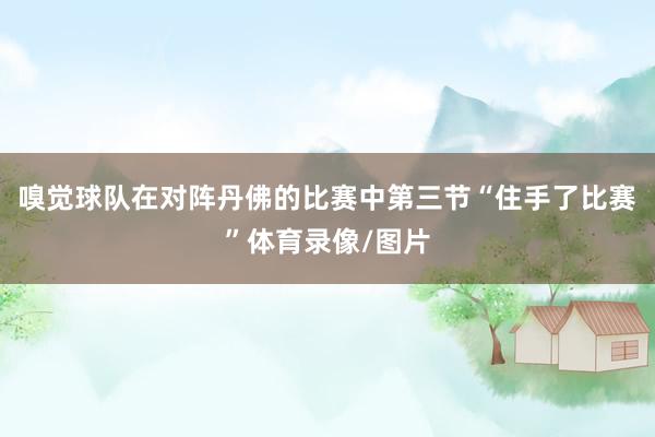 嗅觉球队在对阵丹佛的比赛中第三节“住手了比赛”体育录像/图片
