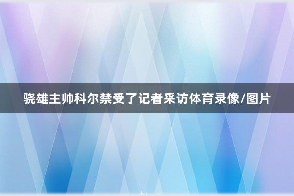 骁雄主帅科尔禁受了记者采访体育录像/图片
