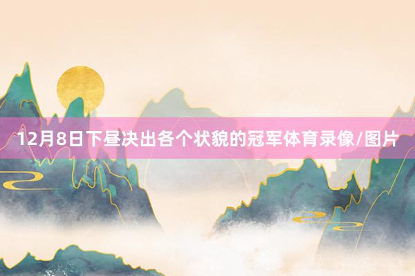 12月8日下昼决出各个状貌的冠军体育录像/图片