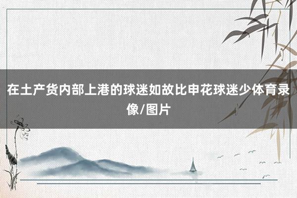 在土产货内部上港的球迷如故比申花球迷少体育录像/图片