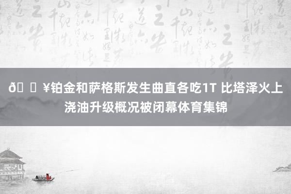 🔥铂金和萨格斯发生曲直各吃1T 比塔泽火上浇油升级概况被闭幕体育集锦