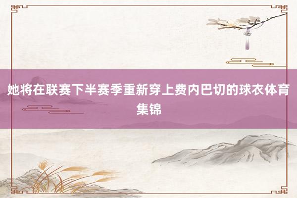 她将在联赛下半赛季重新穿上费内巴切的球衣体育集锦