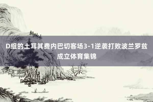 D组的土耳其费内巴切客场3-1逆袭打败波兰罗兹成立体育集锦