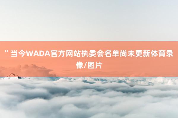 ”当今WADA官方网站执委会名单尚未更新体育录像/图片