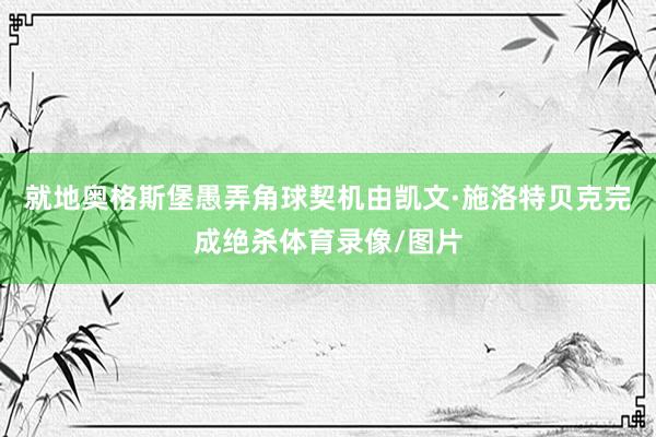 就地奥格斯堡愚弄角球契机由凯文·施洛特贝克完成绝杀体育录像/图片
