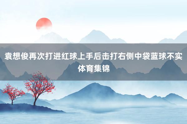 袁想俊再次打进红球上手后击打右侧中袋蓝球不实体育集锦