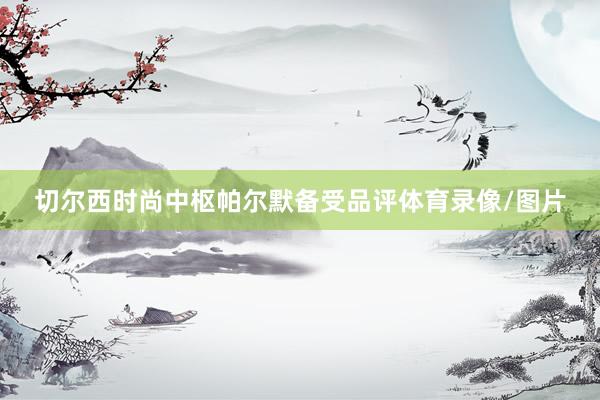 切尔西时尚中枢帕尔默备受品评体育录像/图片