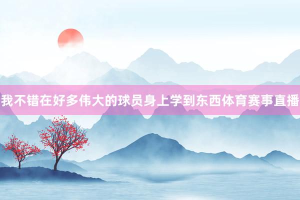 我不错在好多伟大的球员身上学到东西体育赛事直播