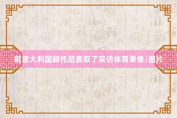 前意大利国脚托尼袭取了采访体育录像/图片