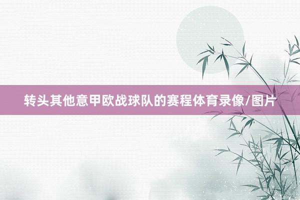转头其他意甲欧战球队的赛程体育录像/图片