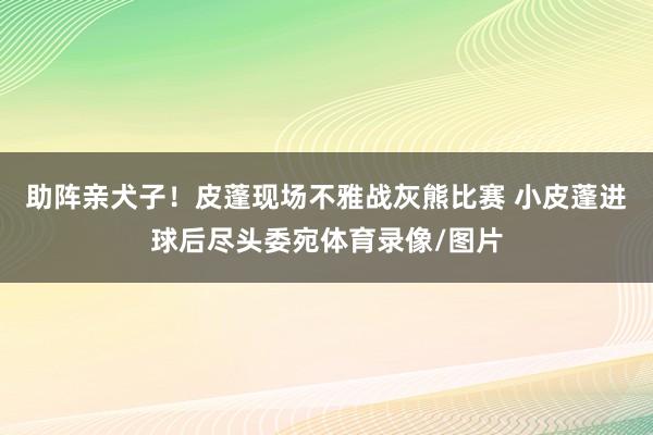 助阵亲犬子！皮蓬现场不雅战灰熊比赛 小皮蓬进球后尽头委宛体育录像/图片