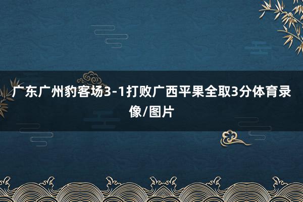广东广州豹客场3-1打败广西平果全取3分体育录像/图片