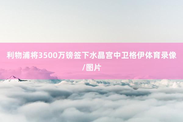 利物浦将3500万镑签下水晶宫中卫格伊体育录像/图片