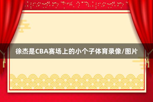 徐杰是CBA赛场上的小个子体育录像/图片